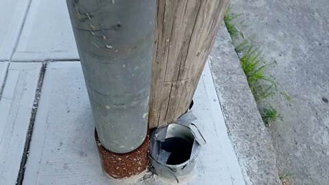 how does the city of Boston allow something like this to happen