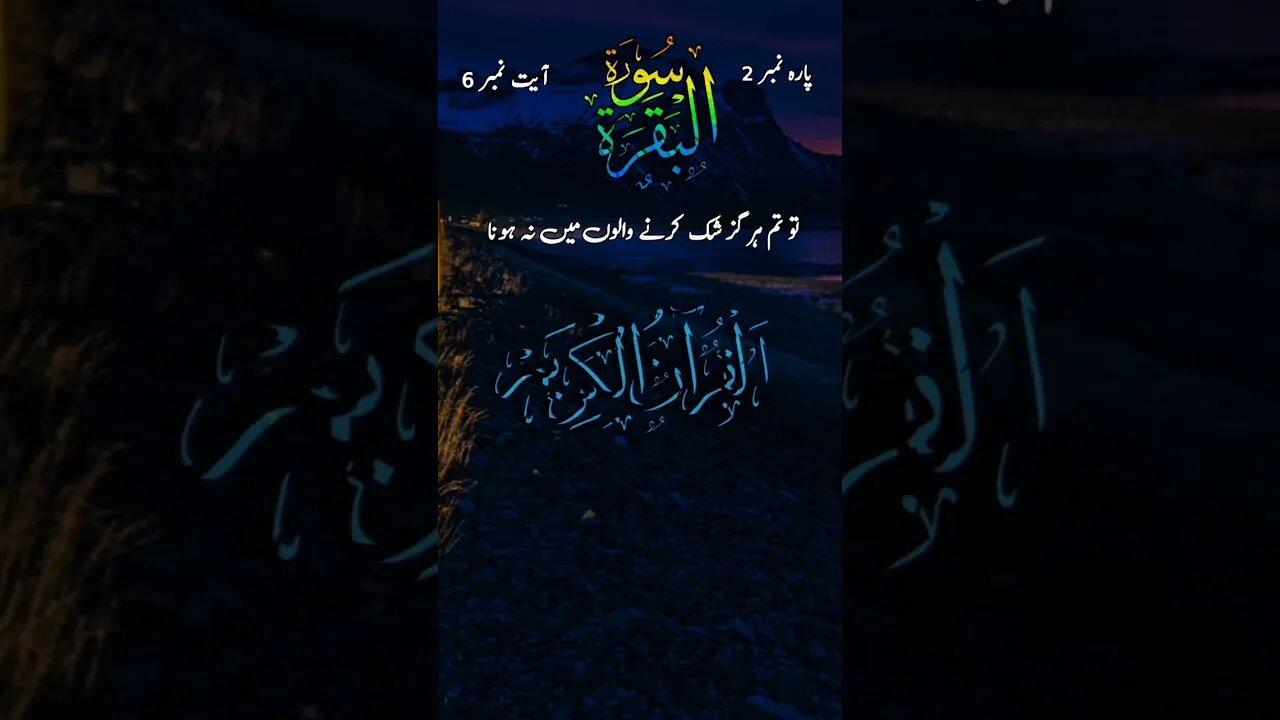 surah Al Baqarah|urduTranslation #ytshorts #islamic #status#viral #whatsappstatus #quran #2023