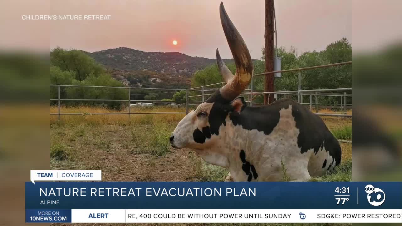 Nature retreat evacuation plan