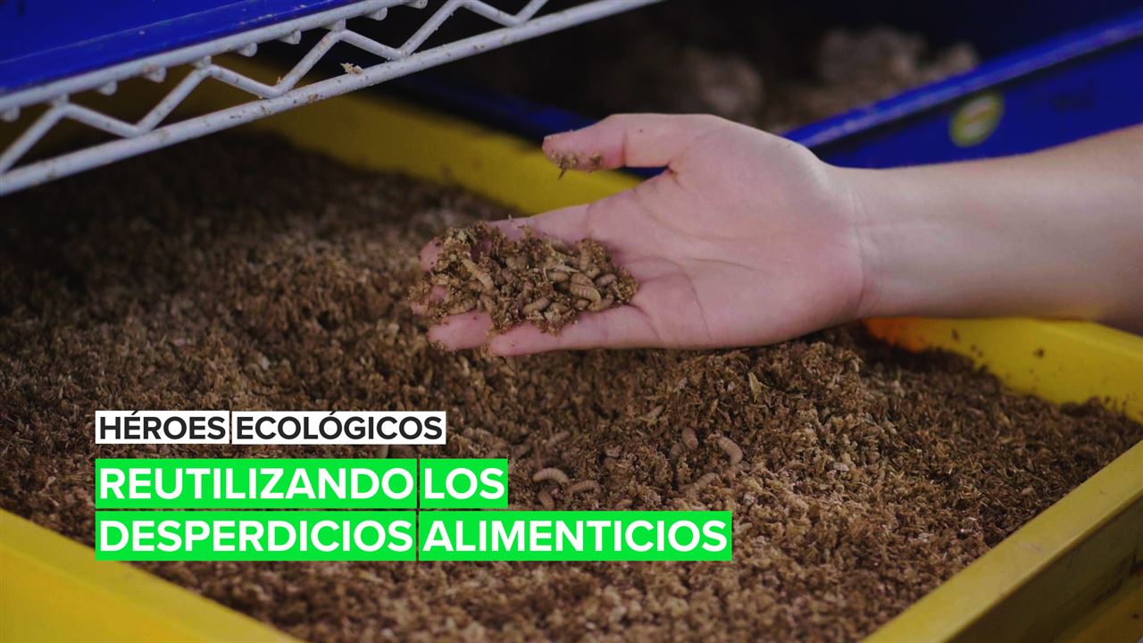 Héroes ecológicos: Reutilizando los desperdicios alimenticios