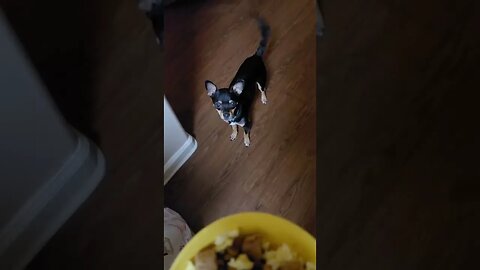 ready for breakfast