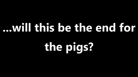 ...will this be the end for the pigs?