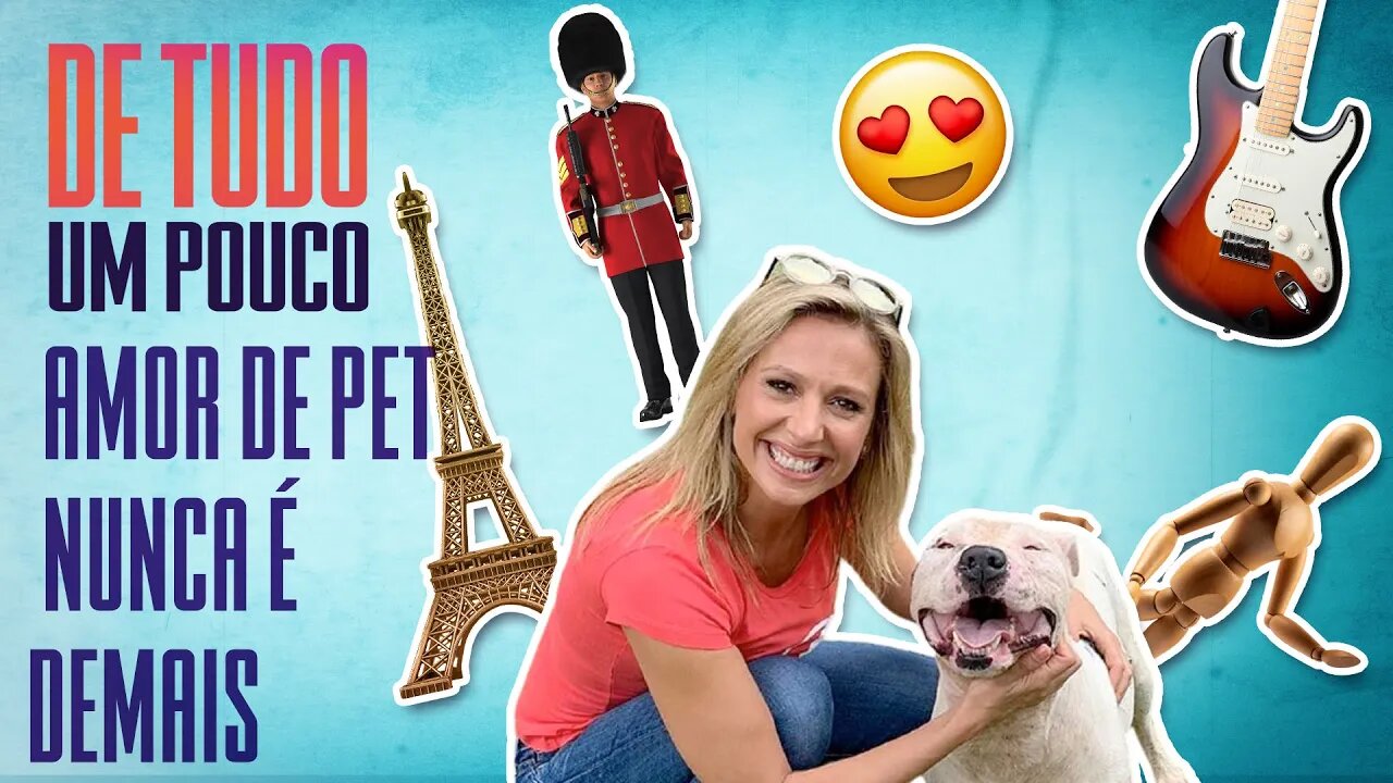 Luisa Mell: como a adoção de animais muda a vida dos humanos | De Tudo Um Pouco
