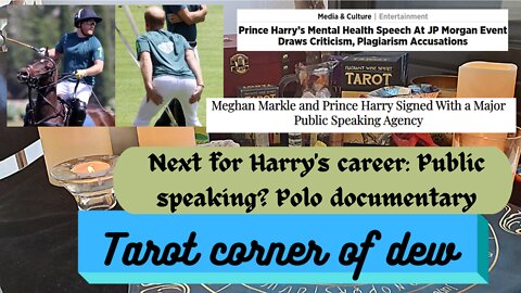 What is next for Harry's career: Public speeches? Polo Documentary?