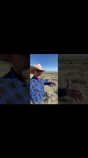 How Ranchers Make Money Part 1