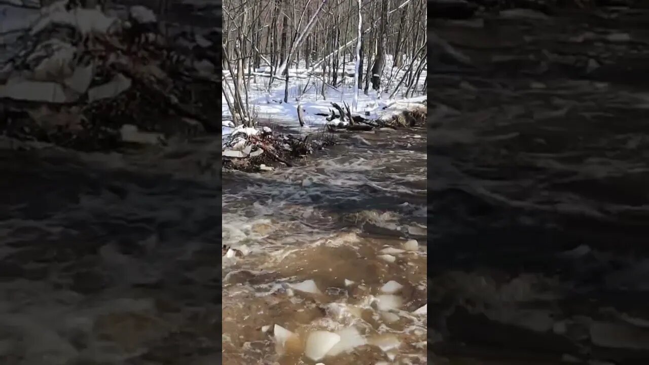 Winter Wheeling Creek Crossing! #wintercamping #offroad #4x4 #ford #overland