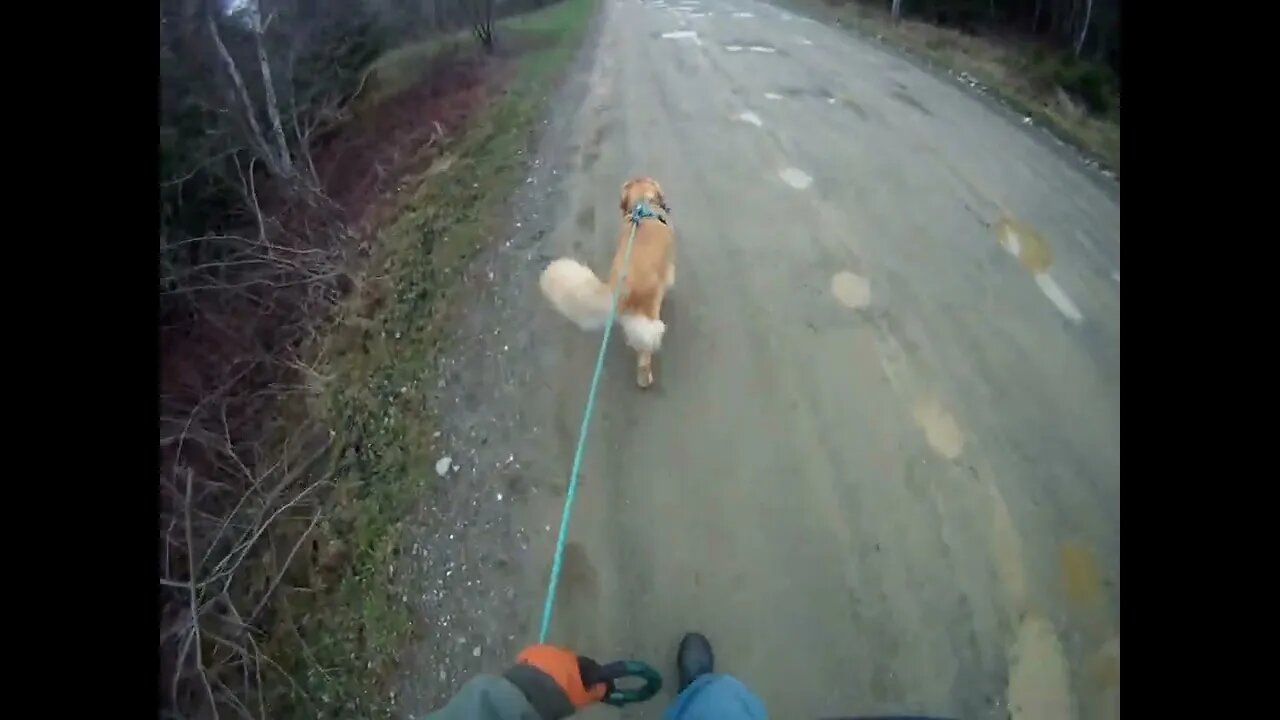 May 2nd, 41º overcast, still no power, coffee on the BBQ