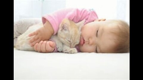 EXTREMELY CUTE CAT AND BABY COMPILATION