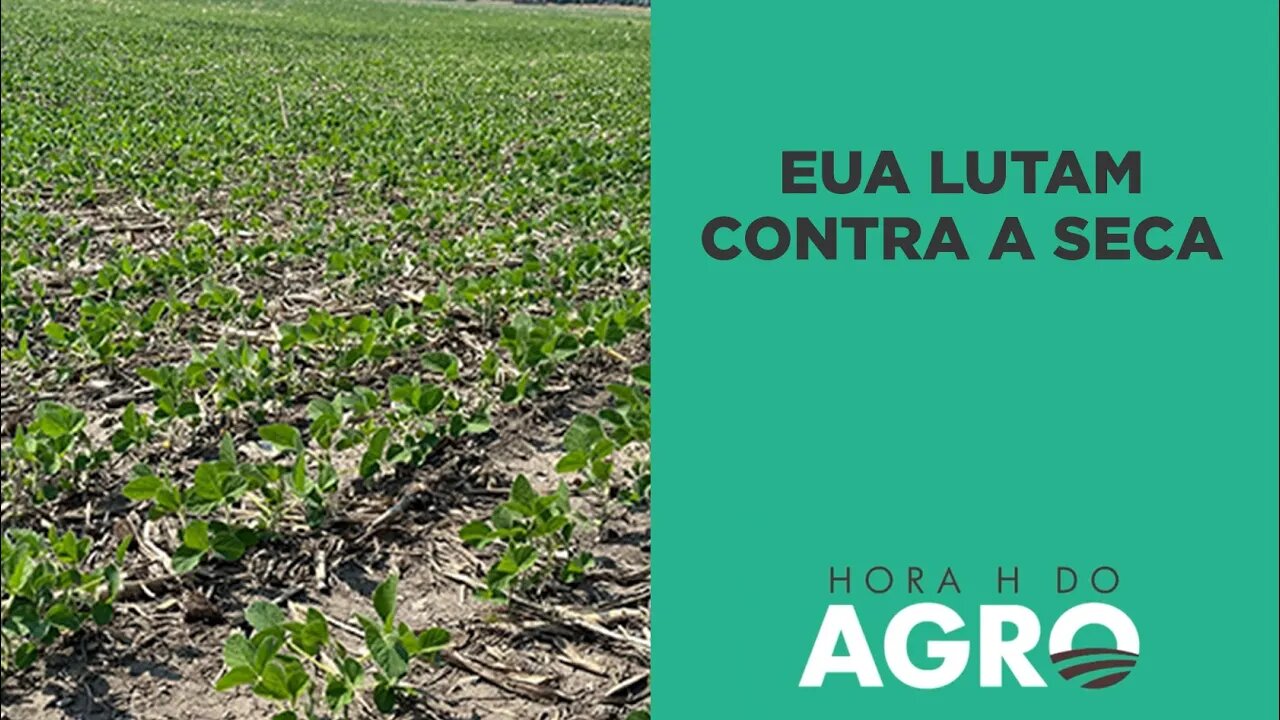 EUA lutam contra a seca: “Condição das lavouras é uma das piores da história” | HORA H DO AGRO