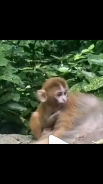 Make me cry 😭😭😭⁣