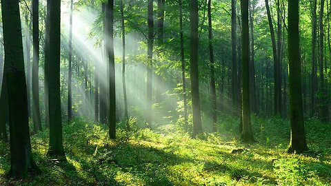 Nature🌿🍃🌿🍃