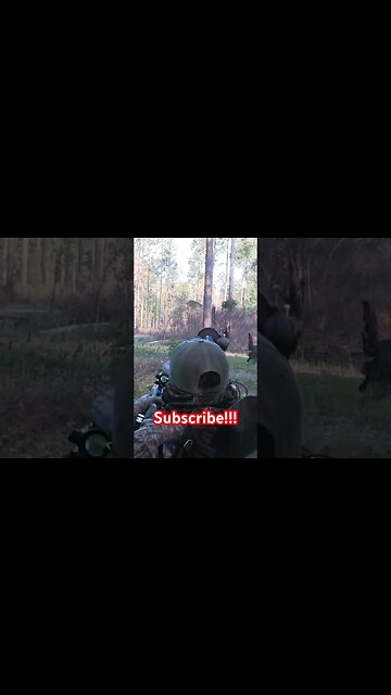 Insane Turkey Encounter…5 Yards!