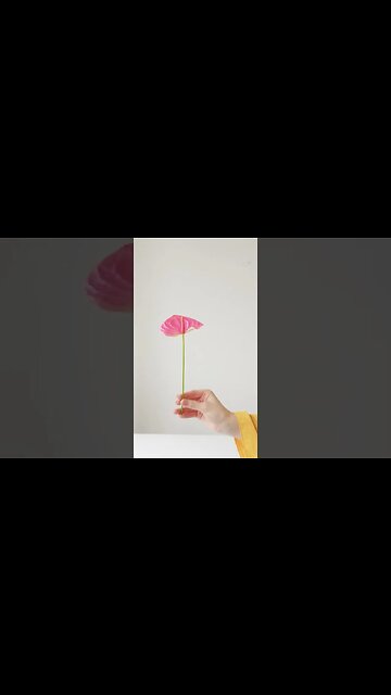 VÍDEO SEM DIREITOS AUTORAIS: