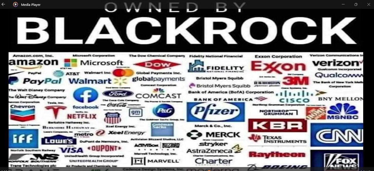 BlackRock Owns EVERYTHING – How BlackRock Owns and Controls Everything in the USA & Future Plans