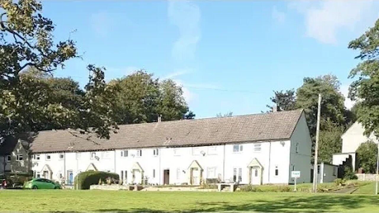 Update - Jogle day 46 - LIVESTREAM