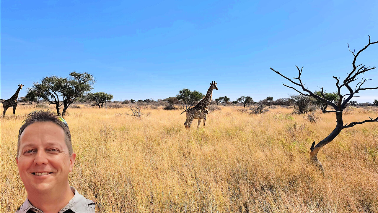 740 Hectares Game farm in very remote Limpopo Province South Africa