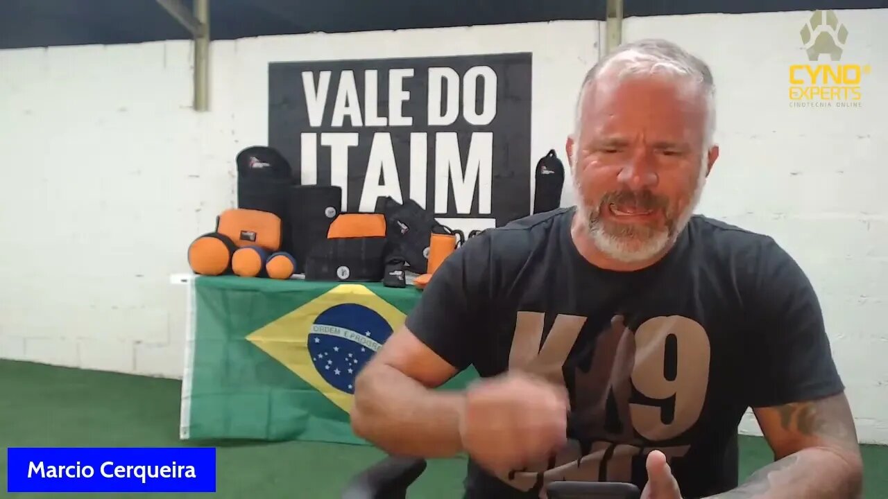 Aula 01 Os 3 Pilares do Cão de Guarda e Proteção