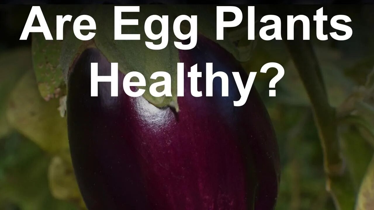 Are Egg Plants 🍆 Healthy?