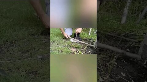 How Not to Use a Bowdrill #shorts #fail #camping #comedy #wtf #whenyourealize