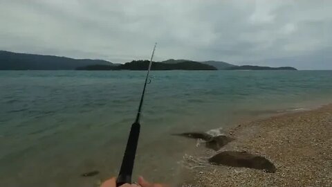 Solo ! Hootchie ! camping ! on ! mini island Kayaking Beach Shark fishing