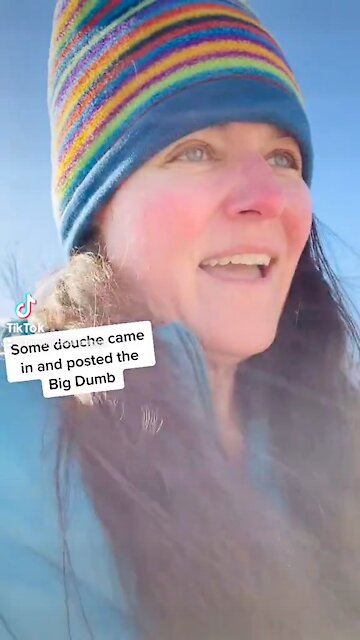 #troll #Tamararoseblodgett