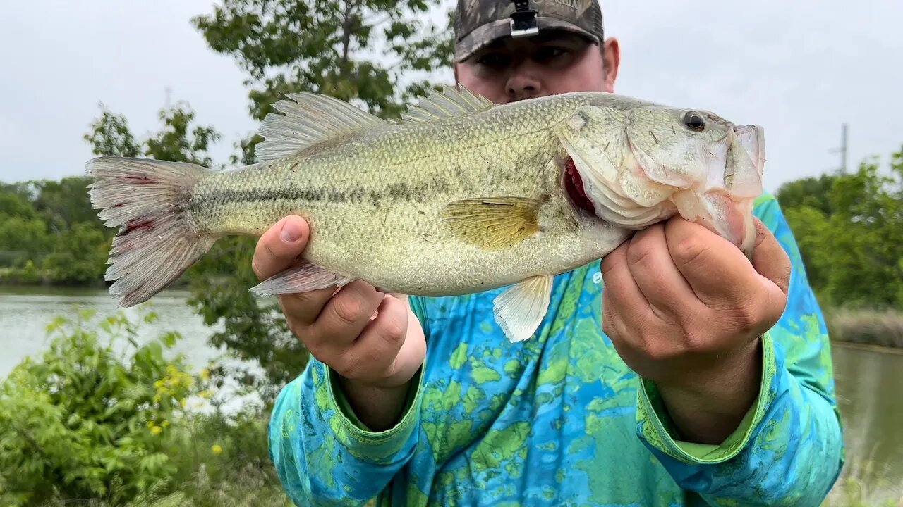 This Pond Never Lets Me Down!