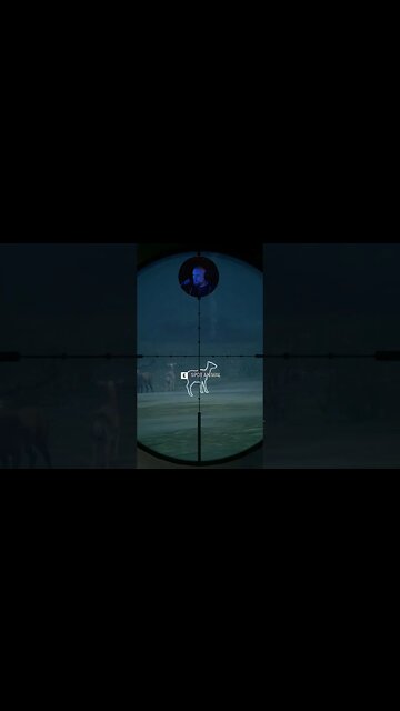 Sneaky Sneaky Boom Boom #callofthewild #cotw #game #mrandmrswolfgaming #shorts