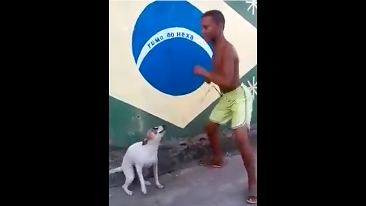 Dancing Dog*