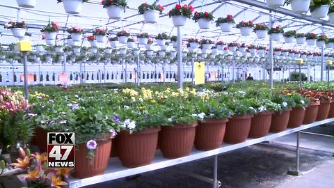 Planting season pushed back because of cold temperatures