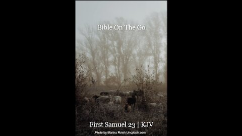 1 SAMUEL 23 | KJV