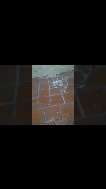 Dropping the soap in the prison shower