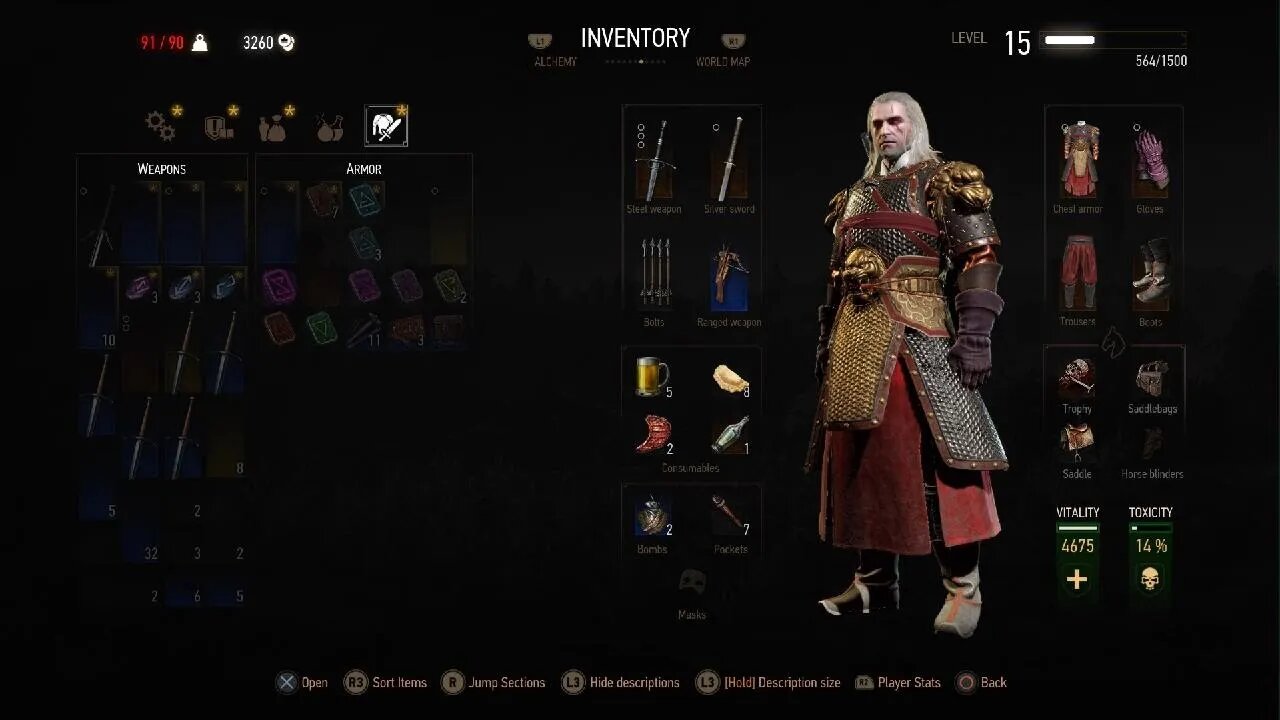 The Witcher 3: Wild Hunt_34 raw