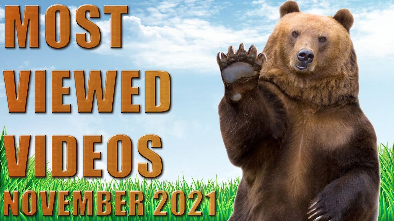 TOP 30 Funny Videos - Most Viewed in November 2021