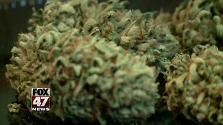Medical marijuana licensing deadline put on hold