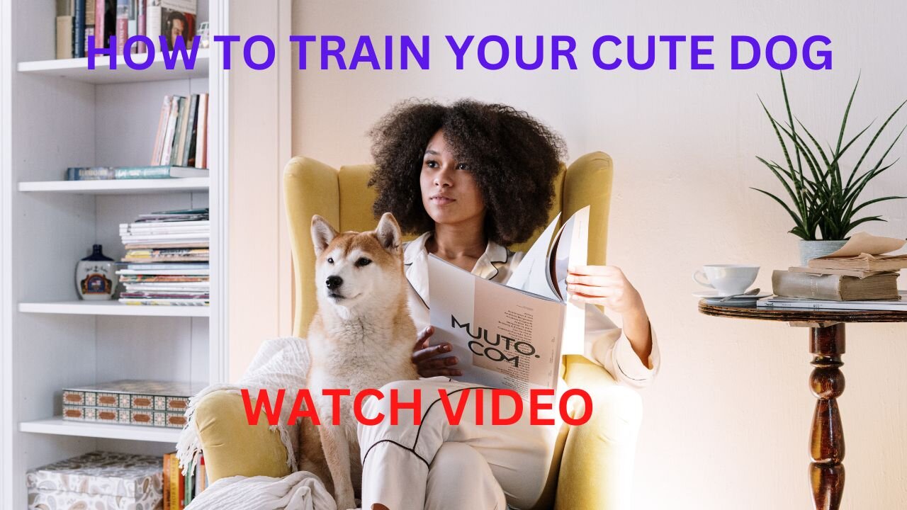 DOG TRAINING VIDEO