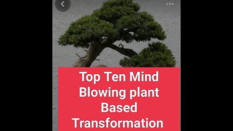 Top Mind Blowing plant Based Transformation