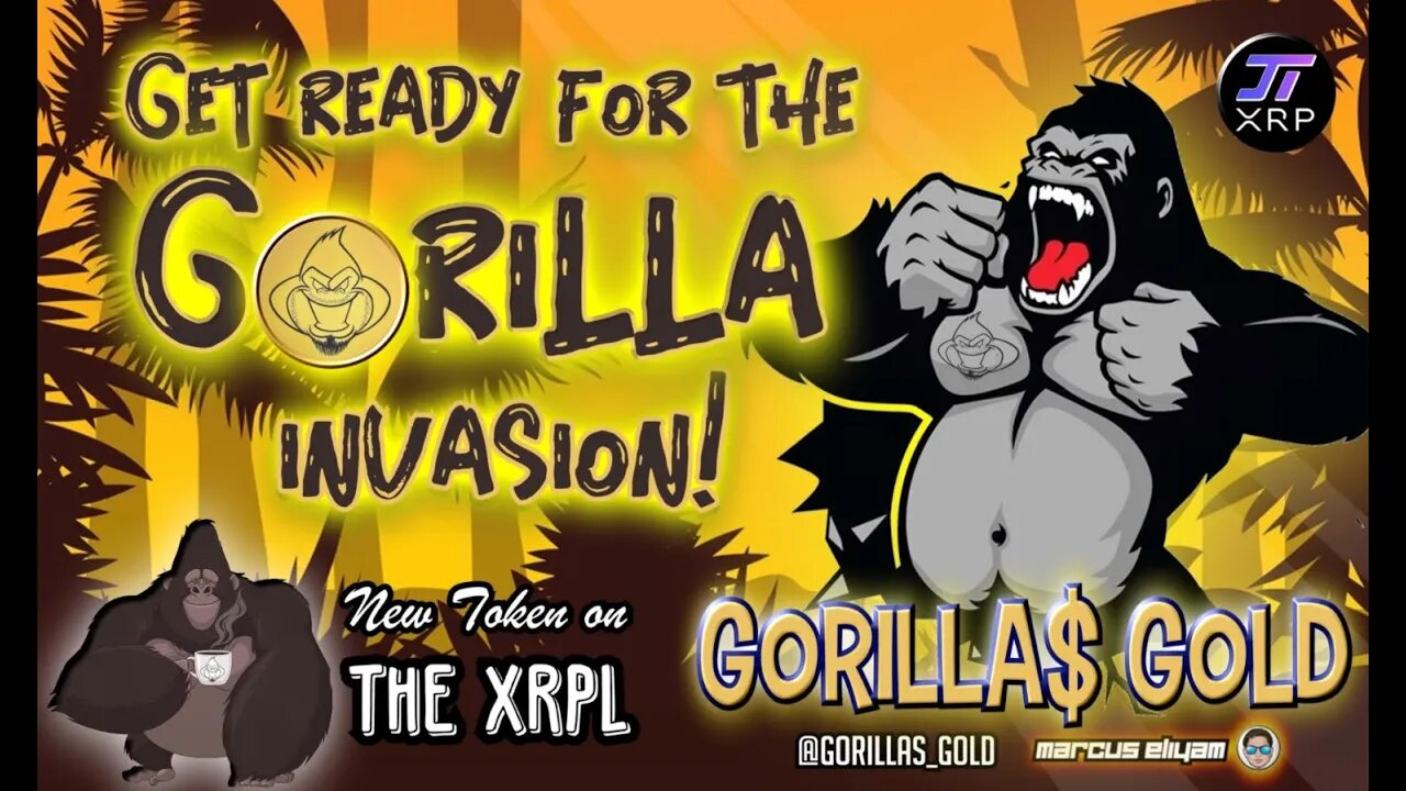 Gorilla Gold Interview - New XRPL Token - Support Artists/Metaverse/Cartoons