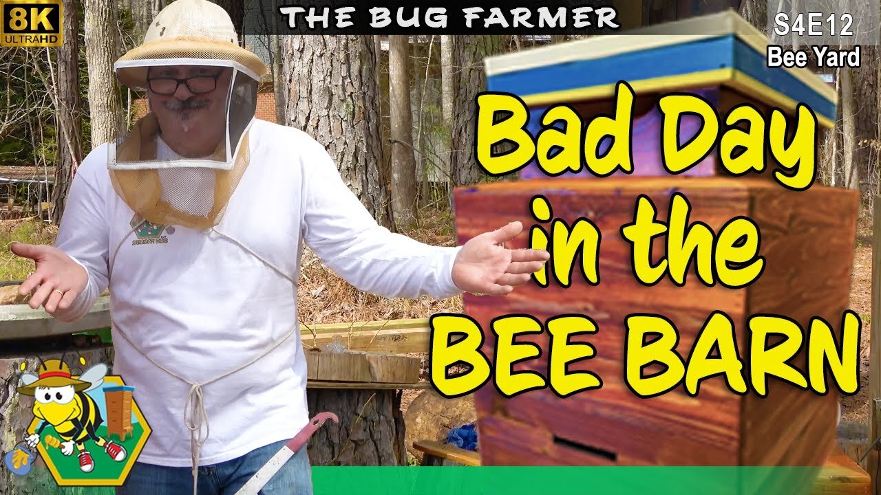Bad Day in the Bee Barn : A catastrophe of my own making. #8K #beekeeping #insects