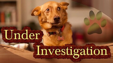Foreigner In Kenya Under Investigation Over A Video Showing Him Hurt!ng A Dog