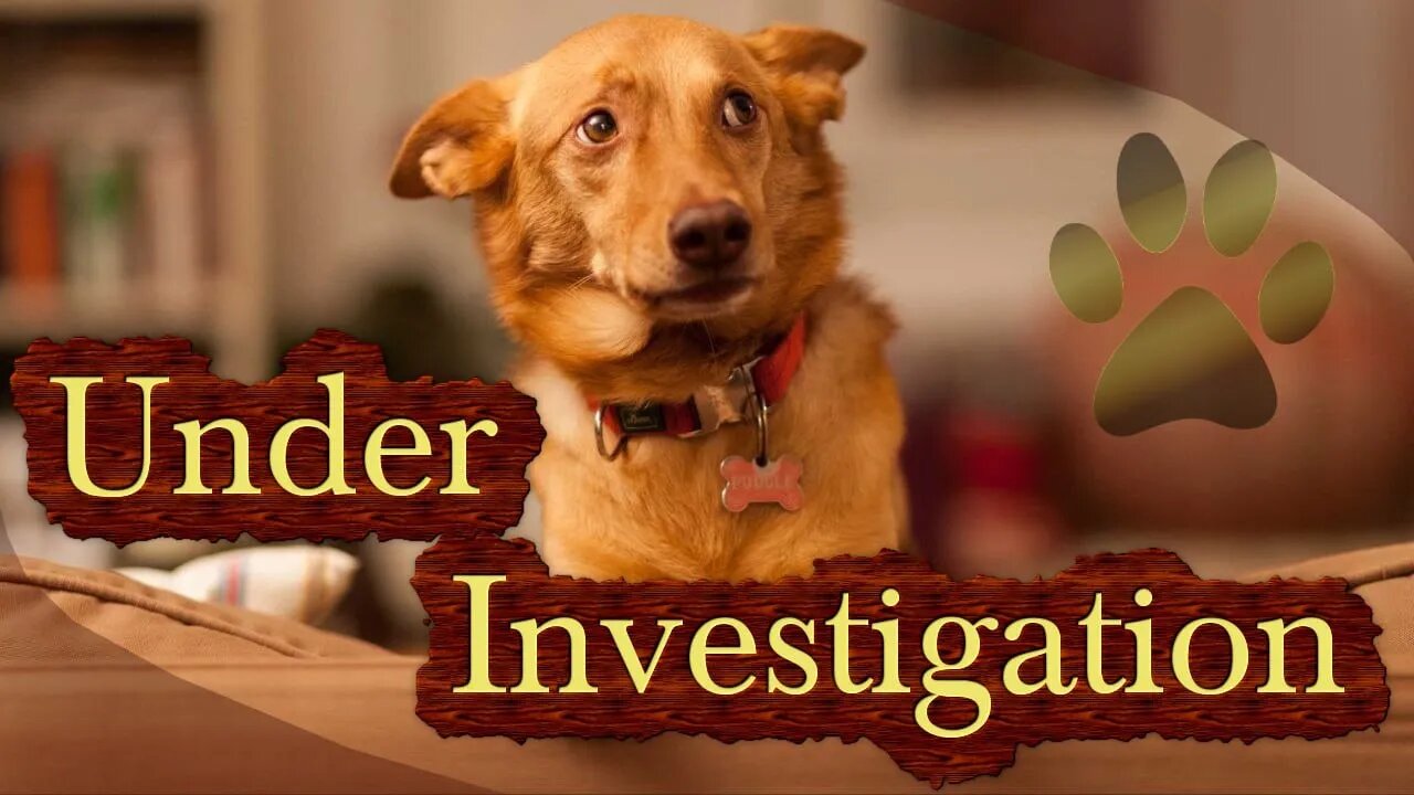 Foreigner In Kenya Under Investigation Over A Video Showing Him Hurt!ng A Dog