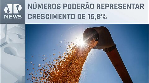 Conab estima produção de grãos em 315,8 milhões de toneladas