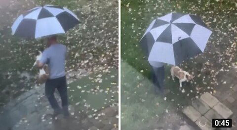 Dad who didn't want a dog takes pup outside with an umbrella