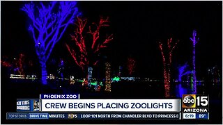 Getting into the holiday spirit at Phoenix Zoo