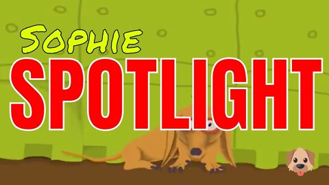Sophie Spotlight (DIGITAL TIMELAPSE)