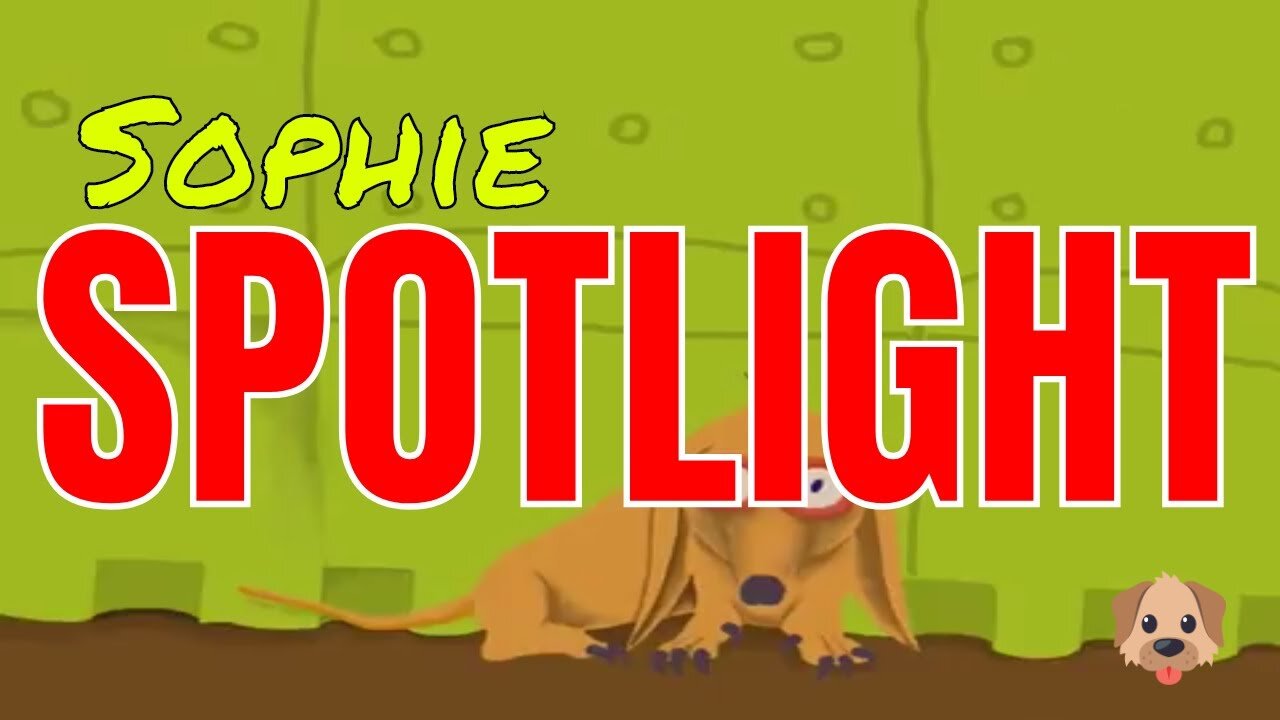 Sophie Spotlight (DIGITAL TIMELAPSE)