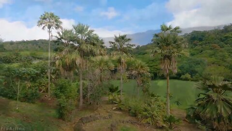 Incredible views of Hawaii's tropical islands