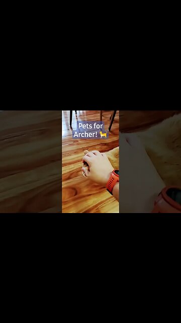 Archer quality time!