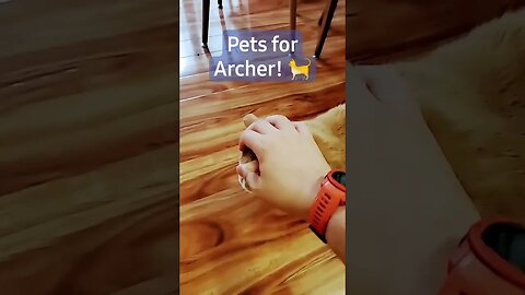 Archer quality time!