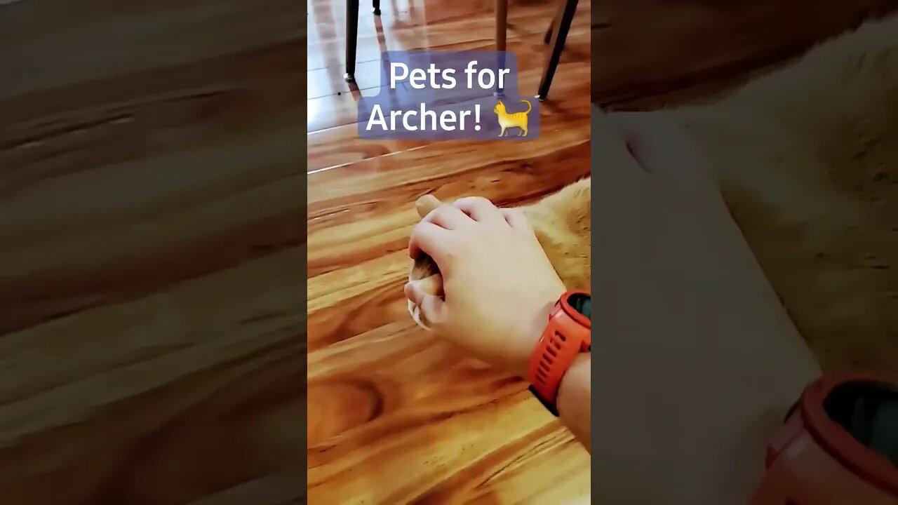Archer quality time!
