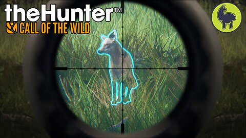 Don't Talk About the Fox Club, Hunt Club Beta | theHunter: Call of the Wild (PS5 4K 60FPS)